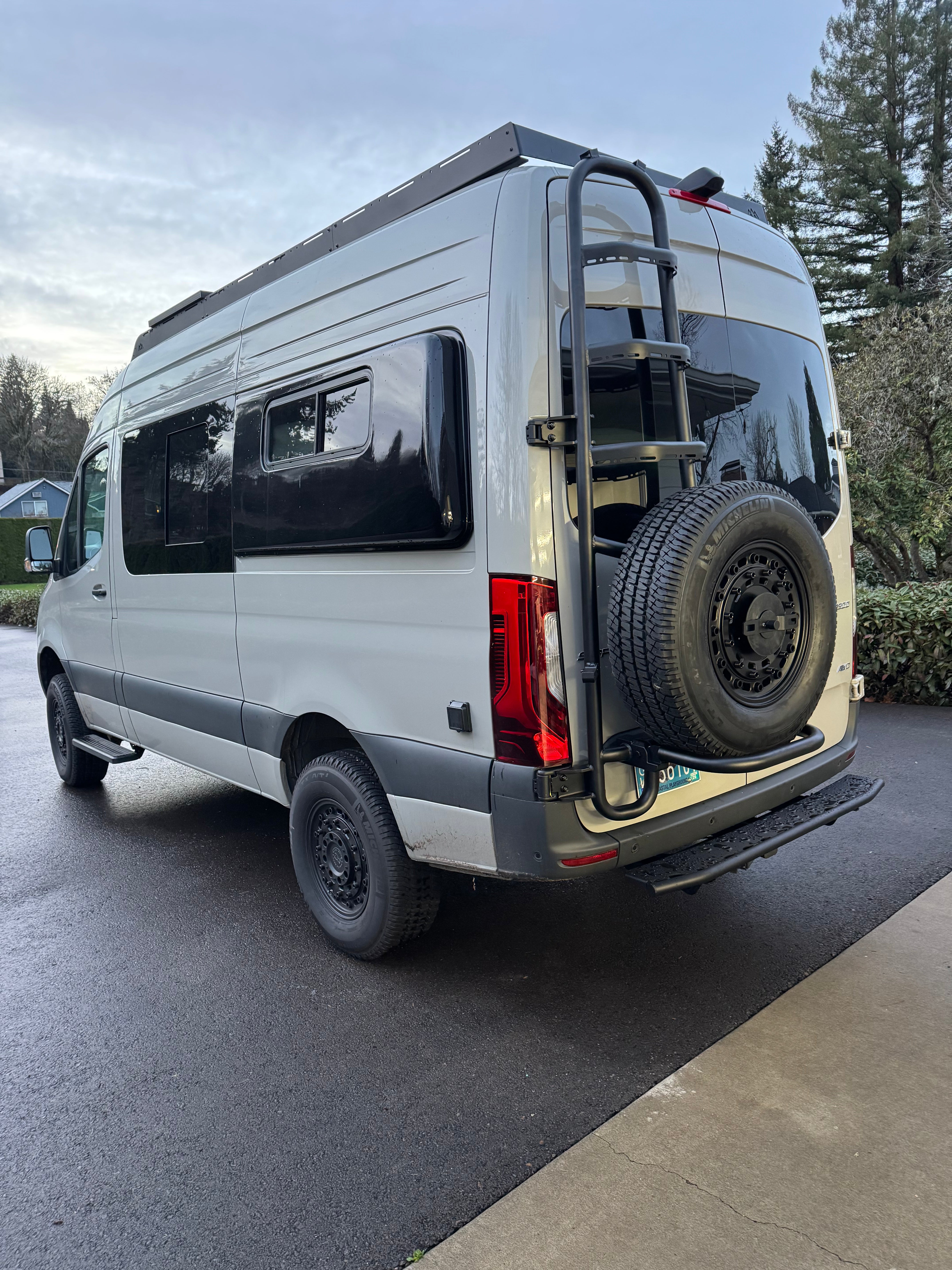 Tec Vanlife 2019+ Sprinter Tire Ladder - Two-in-One Access