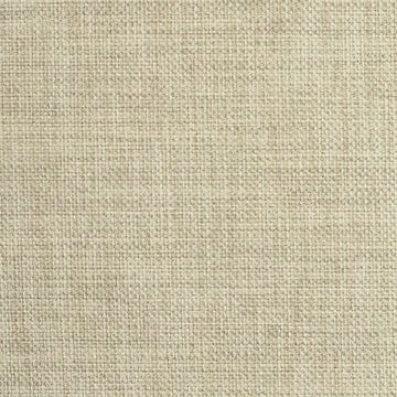 Nassimi Minetta 54" Polyester Fabric - Durable Van Upholstery