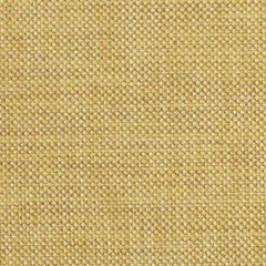 Nassimi Minetta 54" Polyester Fabric - Durable Van Upholstery