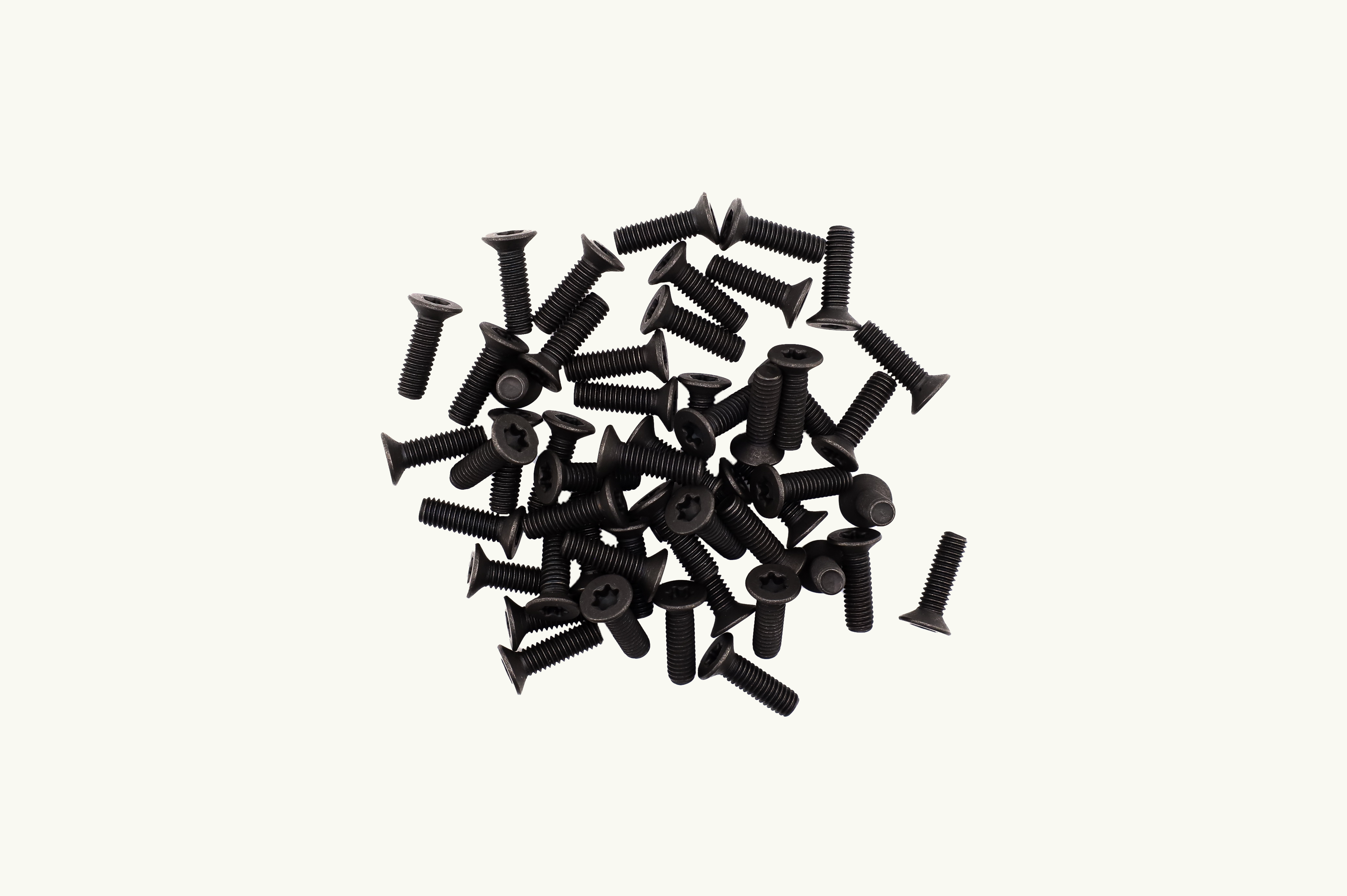 VanEssential Venture L-Track M6 Machine Screws - Adjustable L-Track Hardware