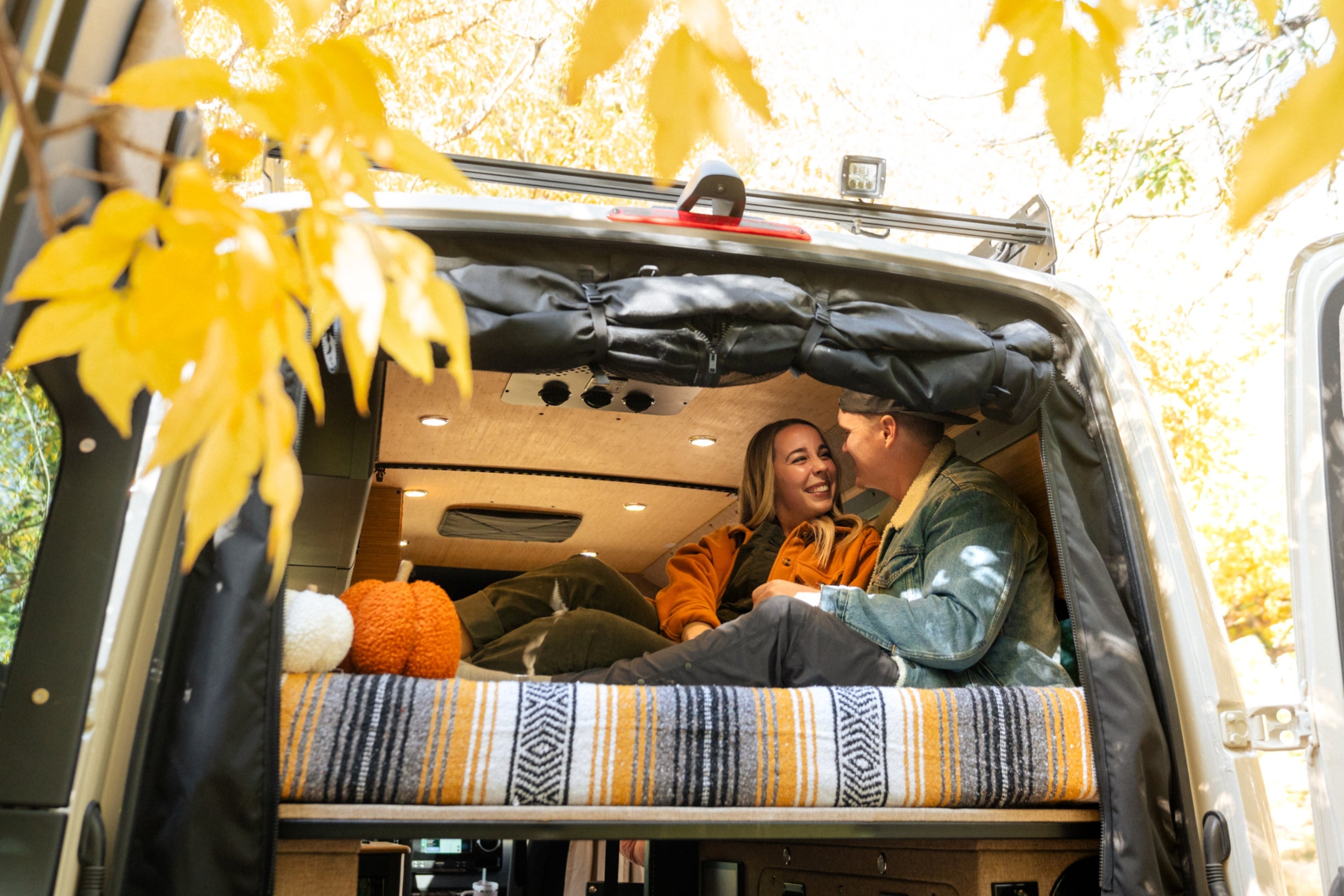 VanEssential Mercedes Sprinter Bug Screen - Rear Door - Rear-Door Airflow